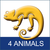 Ein goldenes Chamäleon auf weißem Hintergrund, darunter steht "4 ANIMALS" in Weiß auf Blau.