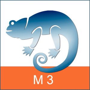 . Ein blauer Chamäleon-Umriss auf weißem Hintergrund mit einem orangen Streifen und der Aufschrift "M 3".