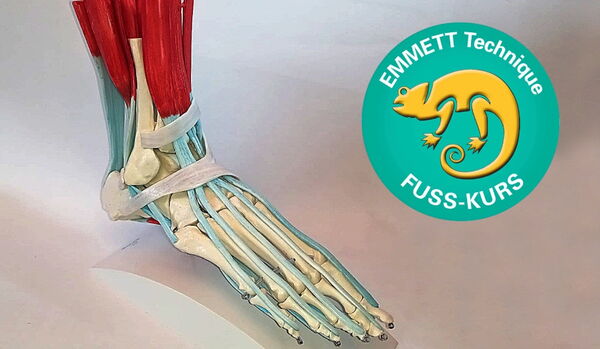 Ein anatomisches Modell eines Fußes mit Muskeln, Knochen und Sehnen, daneben ein Emmett Technique-Fußkurs-Logo.