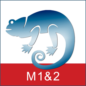 Ein blaues Chamäleon auf weißem Hintergrund über einem roten Streifen mit "M1&2".