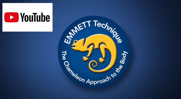 „EMMETT Technique“ Logo mit einem Chamäleon und Text „The Chameleon Approach to the Body“, YouTube-Logo oben links.