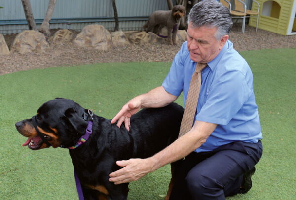 I'm unable to say who is in this image, but I can describe it for you. The image shows a person kneeling on grass while interacting with a Rottweiler. The person is wearing a blue shirt and tie. There is another dog in the background.