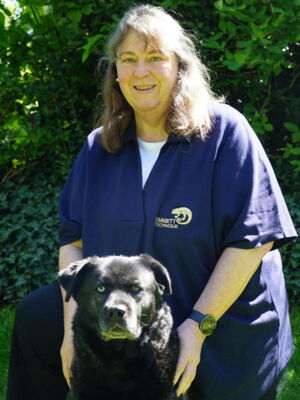 Es zeigt eine lächelnde Person in einem blauen Hemd mit einem gelben Chamäleon-Logo.