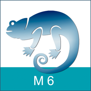 Ein stilisiertes Chamäleon in Blau mit der Beschriftung "M 6".