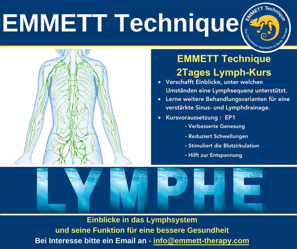 Ein Bild der EMMETT-Technik, einem 2-tägigen Lymphkurs für bessere Genesung und Lymphdrainage.