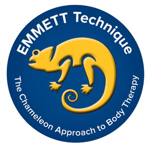 Ein blaues Logo mit gelbem Chamäleon und Text: "EMMETT Technique, The Chameleon Approach to Body Therapy".