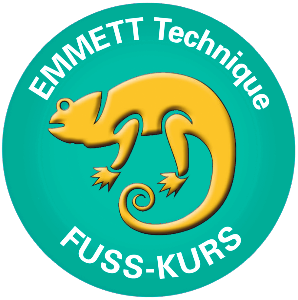 Ein gelbes Chamäleon auf grünem Hintergrund mit Text "EMMETT Technique FUSS-KURS".