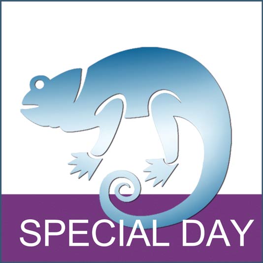 Ein blauer Chamäleon-Umriss auf weißem Hintergrund über lila Fläche, mit Text "SPECIAL DAY".