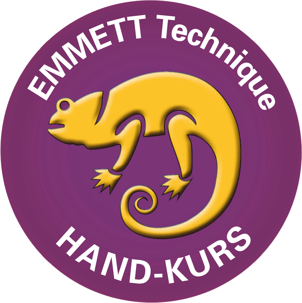 . Ein gelbes Tier auf lila Hintergrund mit den Worten "EMMETT Technique HAND-KURS".