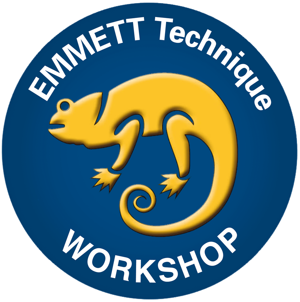 . Ein blaues Emblem mit gelbem Chamäleon, umgeben von "EMMETT Technique WORKSHOP" in Weiß.
