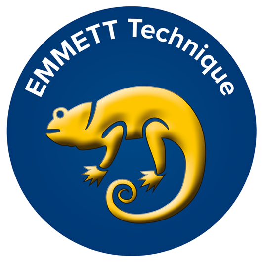 Blaues Logo mit gelbem Chamäleon und Text „EMMETT Technique“.