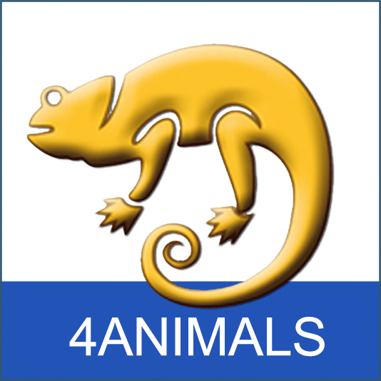 Ein gelber Schmetterlingsagame auf weißem Hintergrund mit blauem Streifen, darunter steht „4ANIMALS“.
